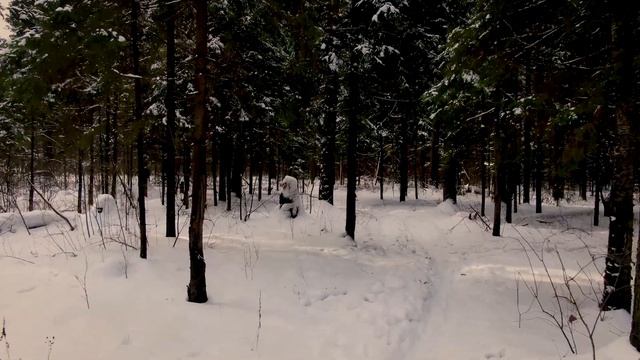 Слава отцов - удел истинных дочерей | сестра Таня | Московские Ворота смотреть онлайн
