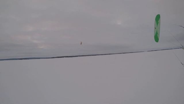 24 февраля 2024. Погода изменилась и мы снова едем смотреть онлайн