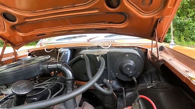 1973 Ford Cortina 1600L Cold Start Video смотреть онлайн