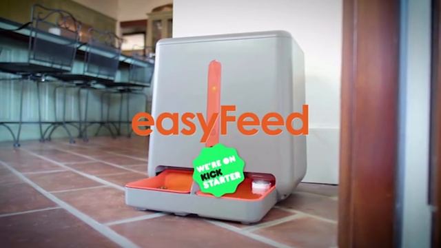 10 ПОЛЕЗНЫХ ГАДЖЕТОВ ДЛЯ ЖИВОТНЫХ