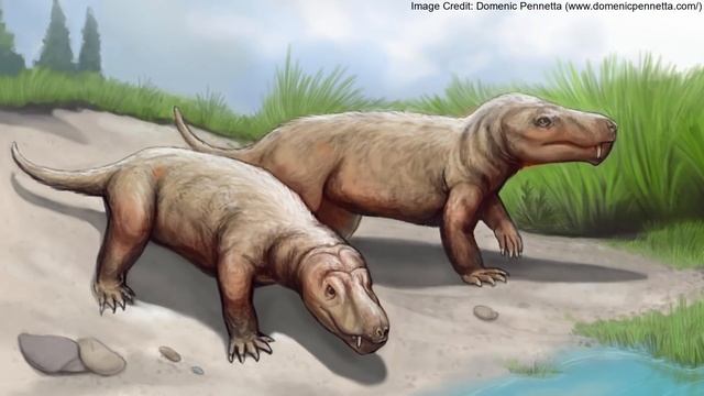Gorynychus: A Bone Crunching, Mammal-Like Predator From The Permian смотреть онлайн