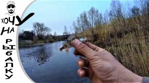 ДУШЕВНАЯ МОРМЫШКА рыбалка на речке. клюет на каждом забросе.