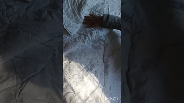 ❌Домовий мікс/ Вага 58.6 кг/ Німеччина