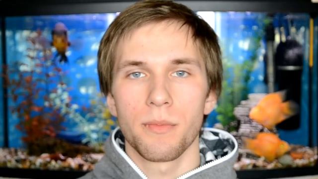 Что делать, если ты забыл про 8 марта? смотреть онлайн