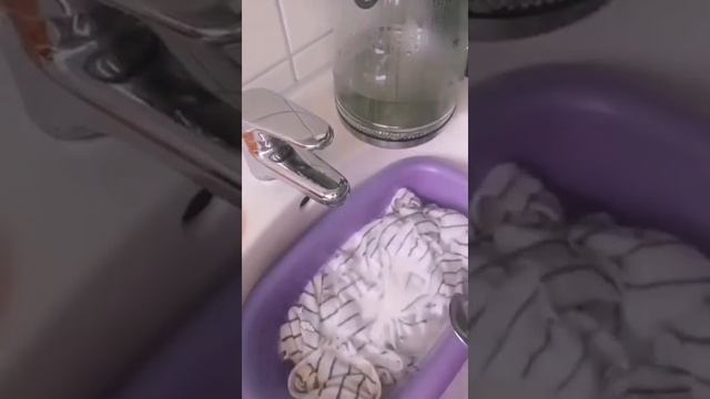 Прощай пятна. Порошок Мистик от Гринвей смотреть онлайн