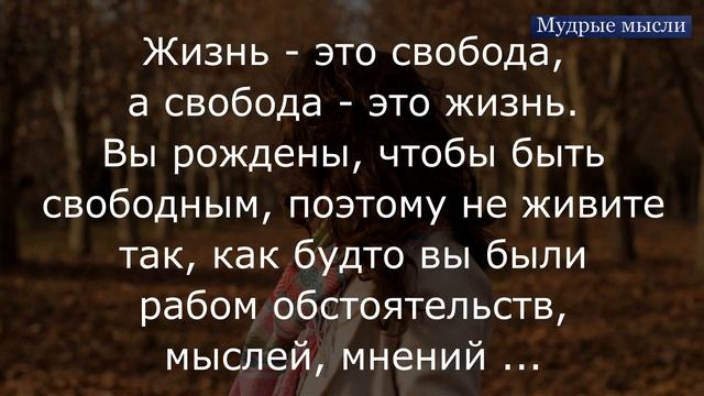 Высказывания о Жизни. Мудрость Жизни смотреть онлайн