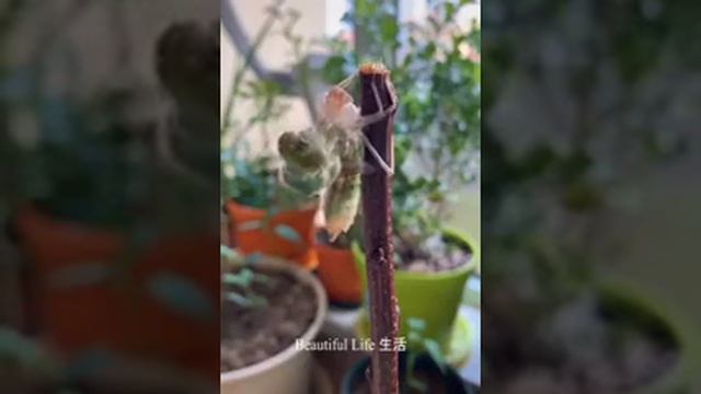 7 марта 2021 г. смотреть онлайн