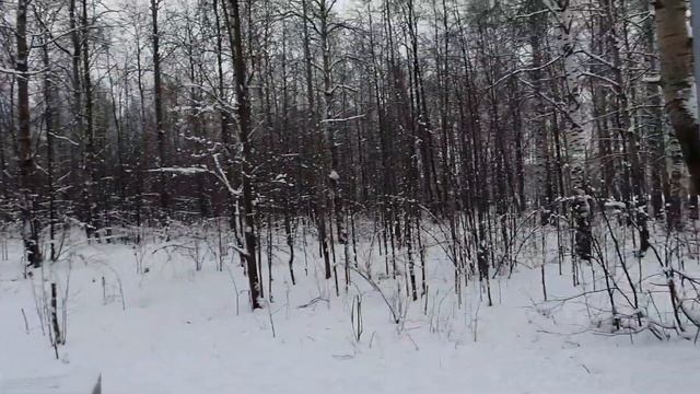 Н -Тагил. Белкин ролик ? Душевная зона. Парк Пихтовые горы. смотреть онлайн
