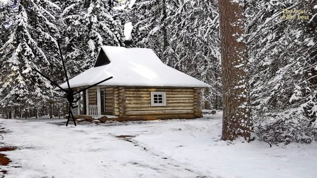 Современная сказка  Дед Пихто и баба с пистолетом