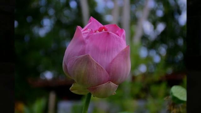 пхукет2016 смотреть онлайн