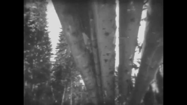 Кинохроника, СССР Красноярск (1979). Krasnoyarsk (1979).