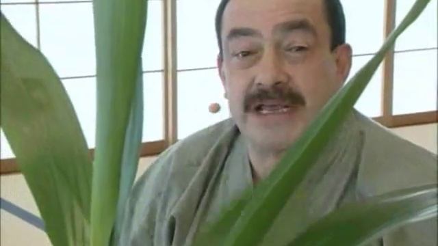 Икебана..wmv смотреть онлайн