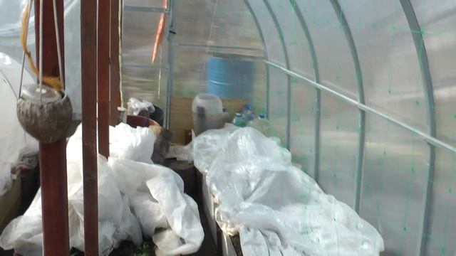 Теплица Лидер Спустя шесть лет эксплуатации смотреть онлайн