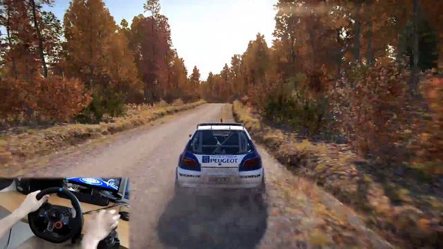Peugeot 306 Maxi - DiRT 4 - Logitech G29 + Shifter
