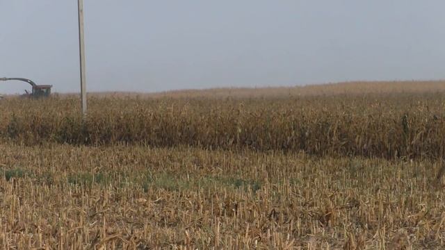 уборка кукурузы на силос 2018 смотреть онлайн