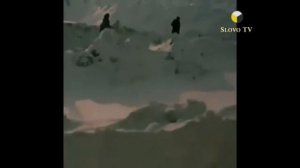 ПРОЕКТ Эффект МАНДЕЛЫ: игры со временем