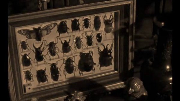 Jane Eyre 2006 - Jane & Mr Rochester falling in love