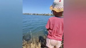 Рыбалка на КАПЧАГАЕ, карьеры. #отдых #рыбалка #рыбалка2022 #капчагай #отдыхсдетьми