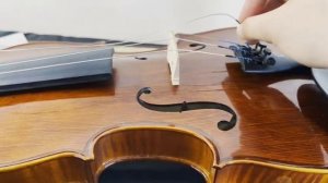 Как выбрать и заменить струны на скрипке