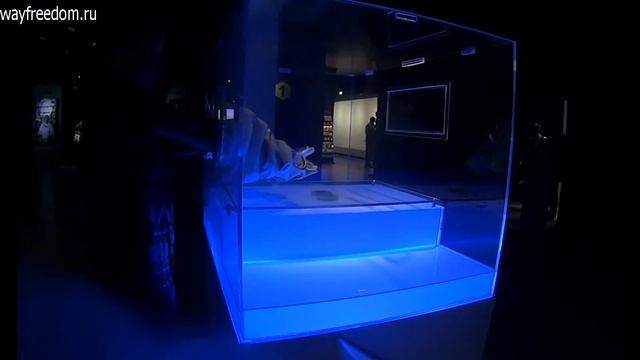 магнитное поле смотреть онлайн
