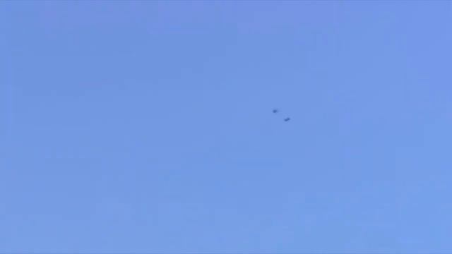 Невероятное количество бабочек в одном месте. Заповедник бабочек в Мексике. смотреть онлайн