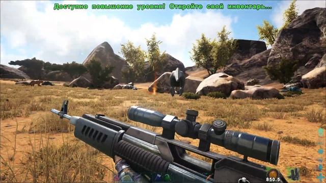 Приручение Амаргазавра в пустыне. смотреть онлайн