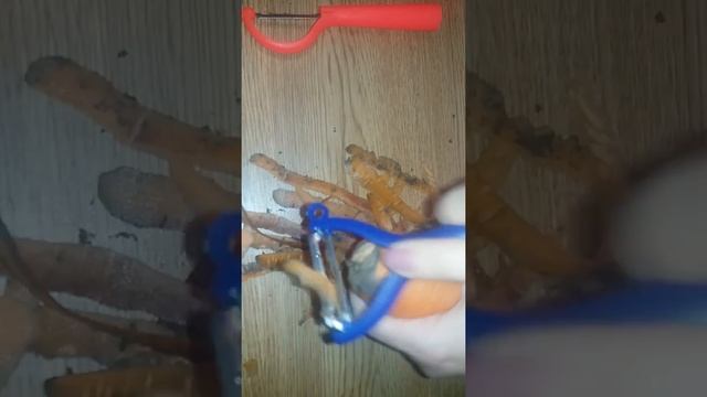 Тапервер овощечистки смотреть онлайн