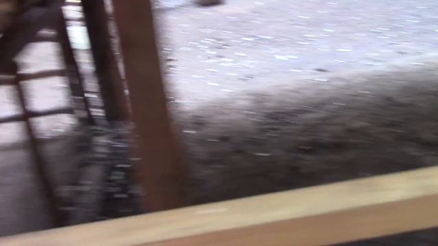 Мини ферма в Мексике.Mini Granja en Mexico. Mini farm in Mexico. смотреть онлайн