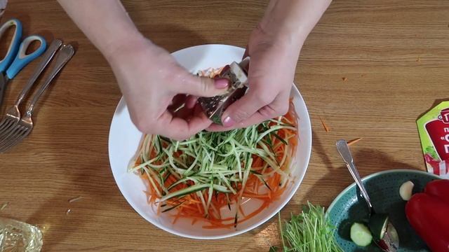 Цирковые Представления и Шоу