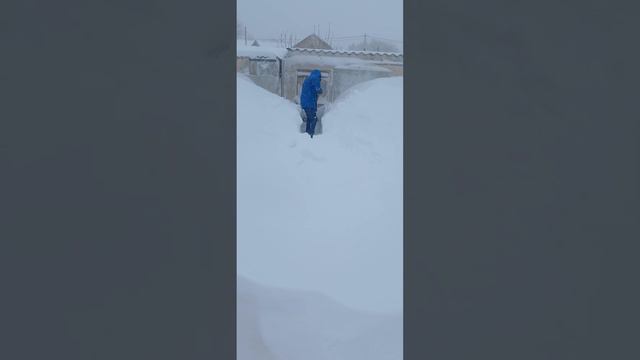 чрезвычайное ситуация у нас выпал много снега отключили свет и воду 😩😩😩 смотреть онлайн