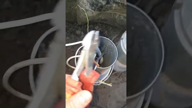 Что будет емли перекусить провод под напряжением кусачками? Как минимум вспышка смотреть онлайн