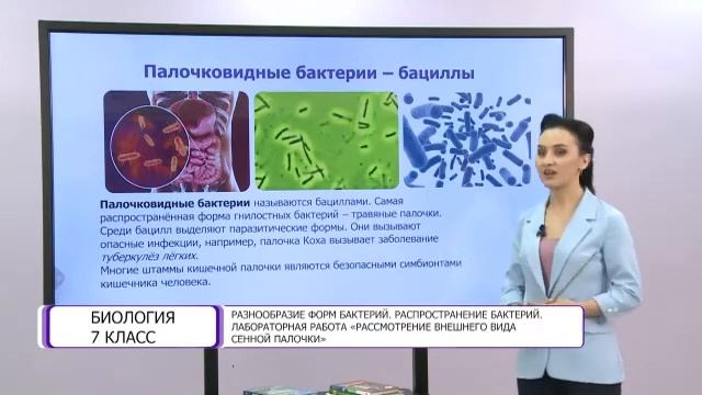 Биология. 7 класс. Разнообразие форм бактерий. Распростронение бактерий /14.05.2021/ смотреть онлайн