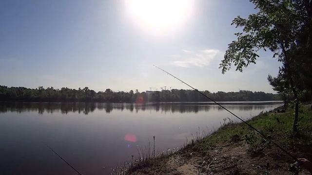 Рыбалка в городе Чехонь 5,3кг Труханов остров смотреть онлайн