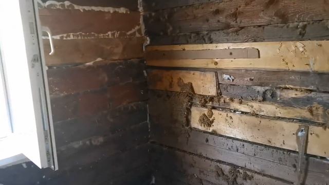 Картошку Выкопали и... Опять Начали Крушить Стены? РЕМОНТ! ПОРЯДОК Будет, Но не СКОРО? 05.09.21 смотреть онлайн