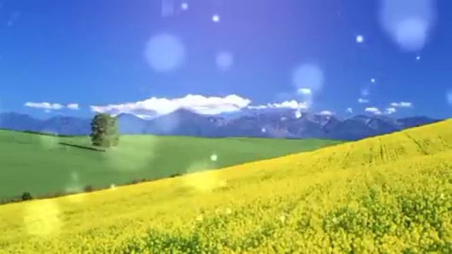 Истории из жизни. Некрасивая Света. Женские истории. смотреть онлайн