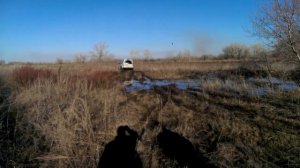 Ленд ровер дискавери тест драйв в грязи 13.04.2014