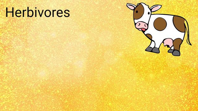 Classification Of Animals By ANAYA