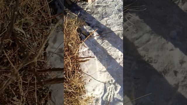 Обзор самой маленькой заброшки