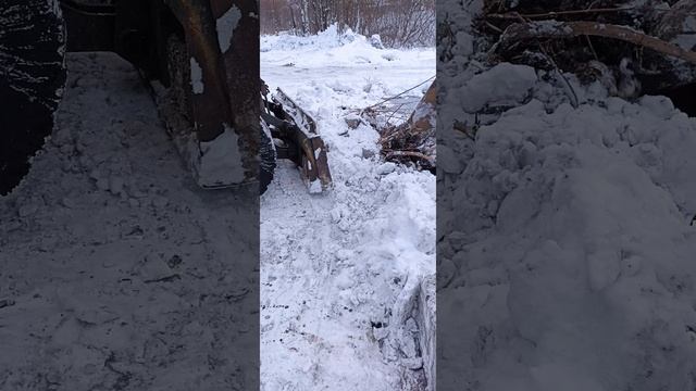 VID_20221223_094002.mp4