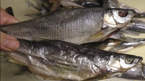 КАК ВКУСНО ПОСОЛИТЬ, И ЗАВЯЛИТЬ СОРНУЮ РЫБУ,