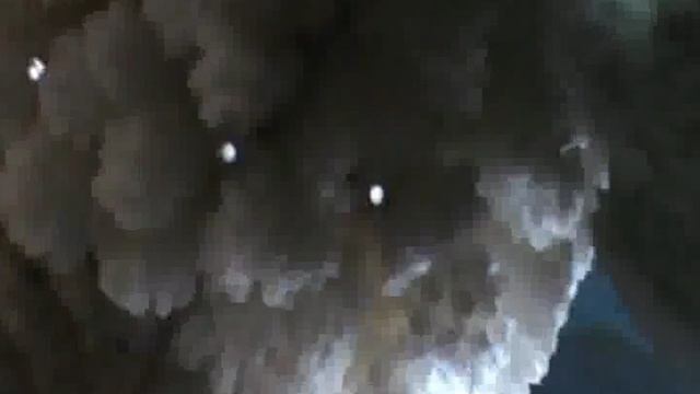 Coral2_0