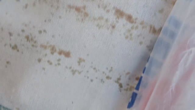 Зимовка пчёл в ульях ППС на улице 2016. Урал смотреть онлайн