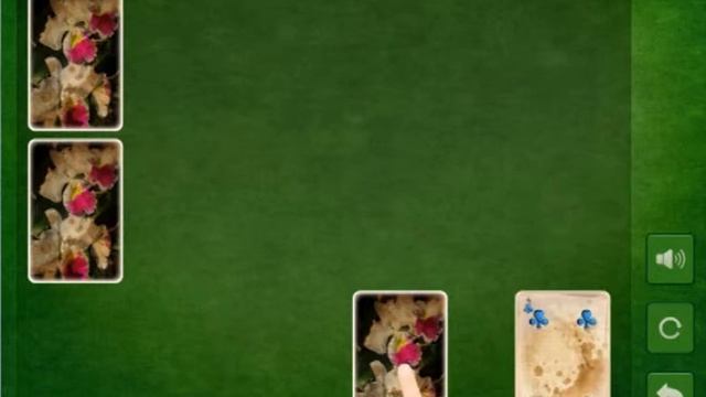 Cards Memo game смотреть онлайн