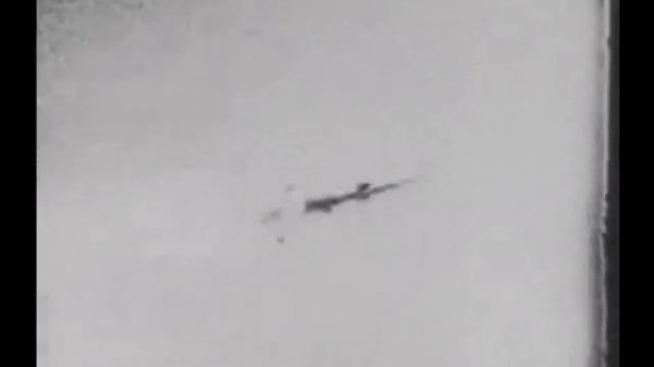 Was Wollen Wir Trinken (Sieben Tage Lang)