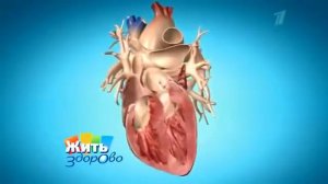 Ревматизм – чем он опасен?