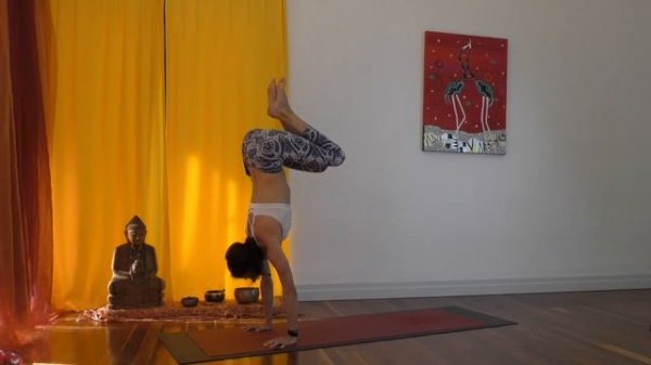 Vitality Flow for intermediate/advanced practitioners