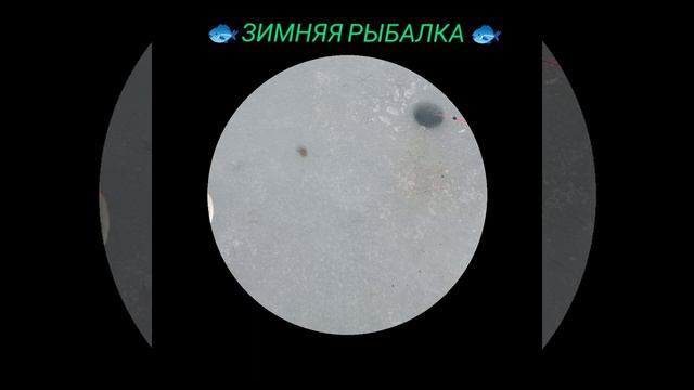 Зимняя рыбалка