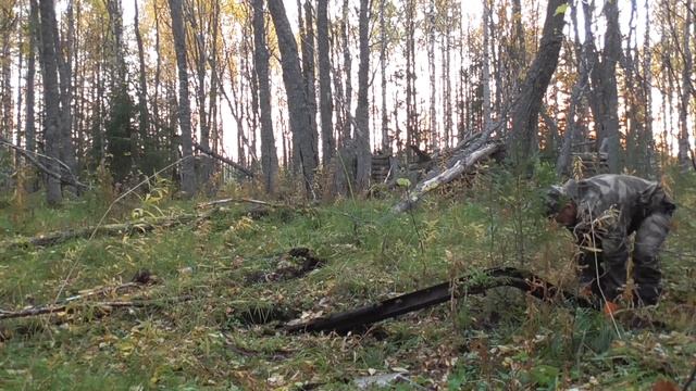 Тонны металла с приключениями в тайге! Коп металла с Minelab Vanquish 540!!! смотреть онлайн