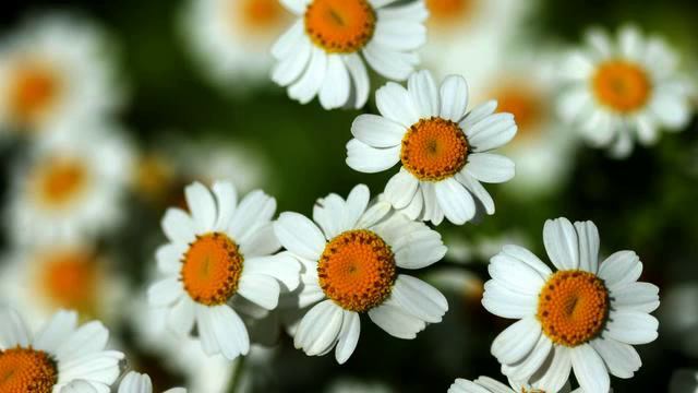 Лучшие русские клипы в машину онлайн смотреть онлайн