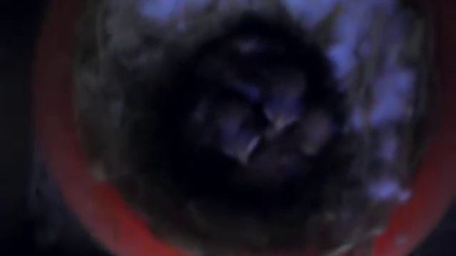 sicalis flaveola смотреть онлайн